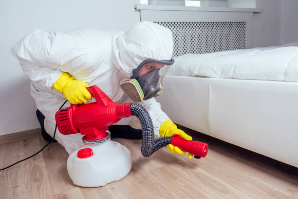 Best Termite Control Services  in Spurgeon, TN